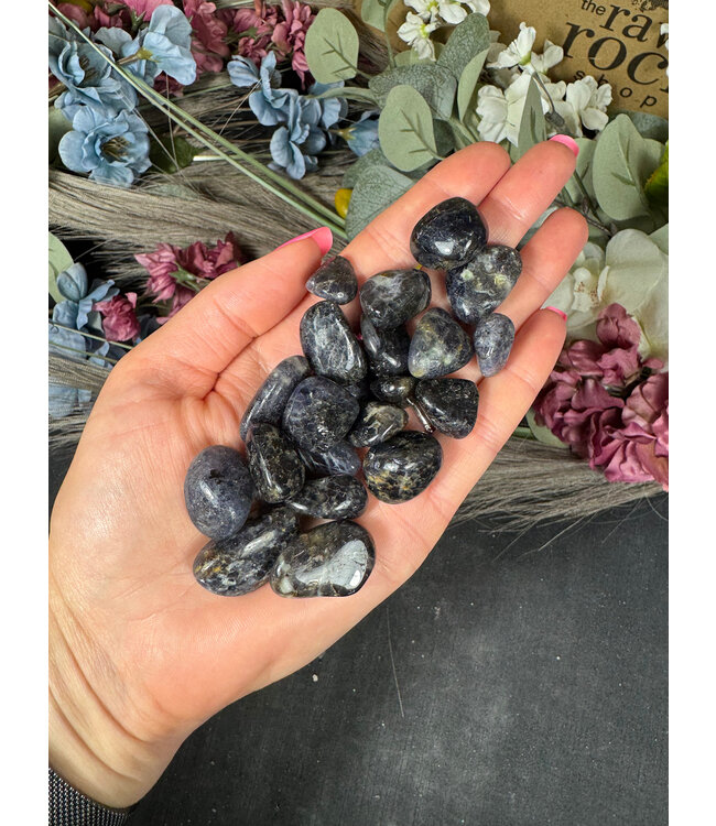Iolite Tumbled Stones, Polished; 1 size available, purchase individual or bulk