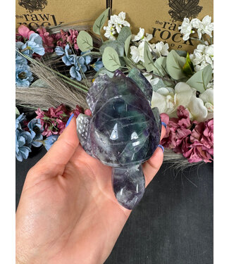 Rainbow Fluorite Turtle #2, 464gr
