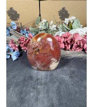 Petrified Wood Freeform #1, 618gr