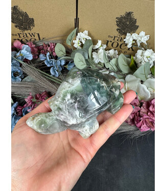 Rainbow Fluorite Turtle #4, 512gr