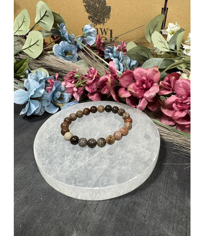 Petrified Wood 8mm Bracelet