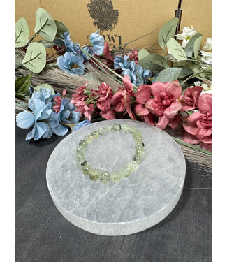 Prehnite 8mm Bracelet