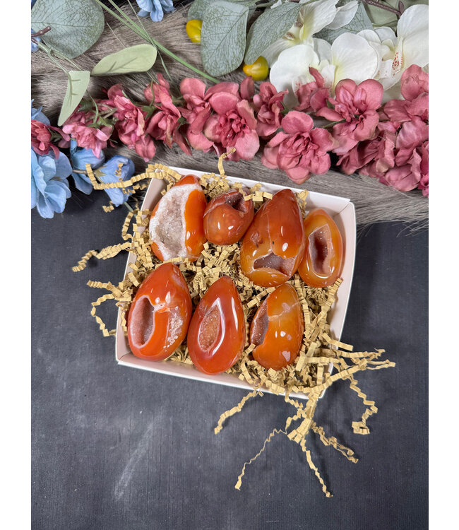 Small Carnelian Egg Bulk Lot #20