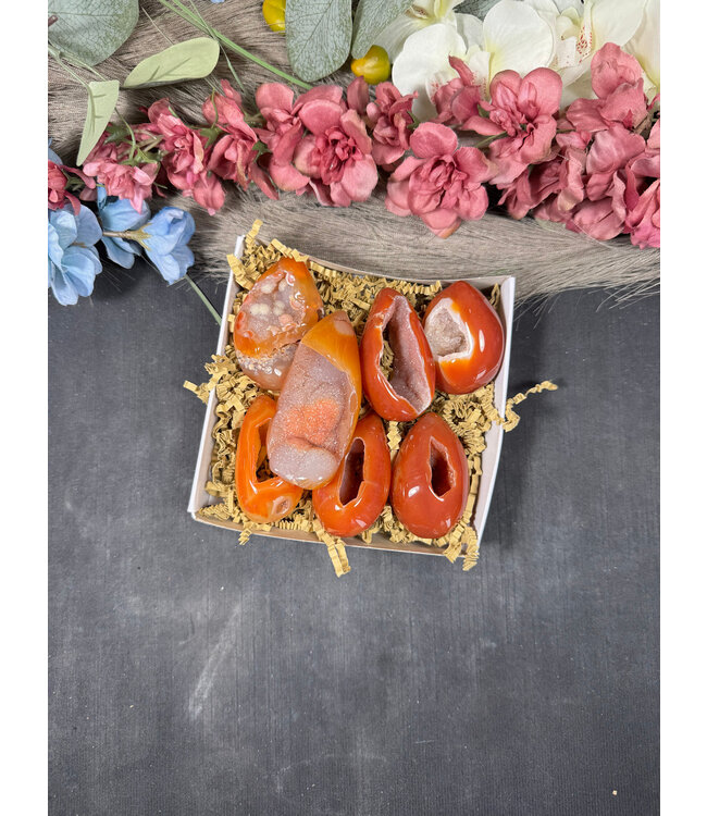 Small Carnelian Egg Bulk Lot #21