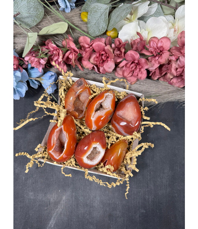Small Carnelian Egg Bulk Lot #19