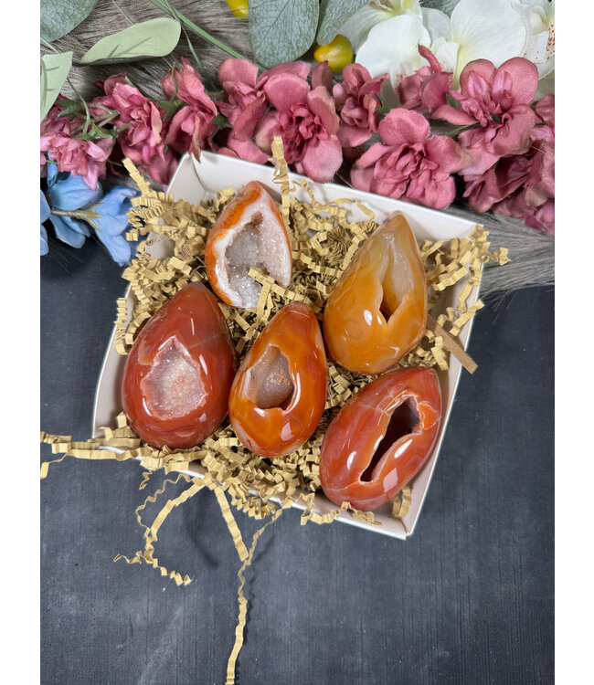 Small Carnelian Egg Bulk Lot #18