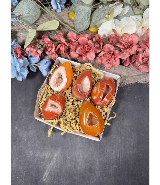 Small Carnelian Egg Bulk Lot #15