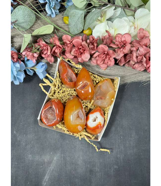 Small Carnelian Egg Bulk Lot #14