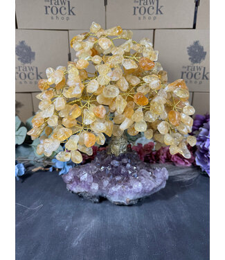 Citrine Tree #1, 3.974kg Citrine Tree #1, 3.974kg