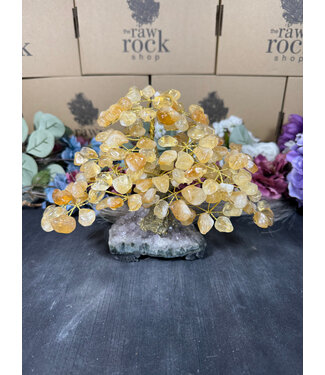 Citrine Tree #2, 1.022kg Citrine Tree #2, 1.022kg