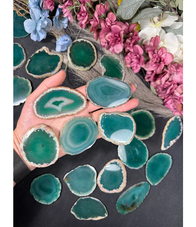 Agate Slice Size #1 Green