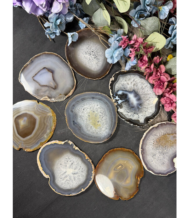 Agate Slice Size #7 Natural