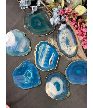 Agate Slice Size #7 Teal