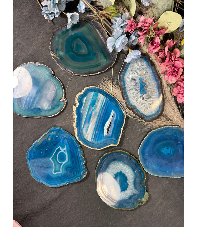Agate Slice Size #7 Teal