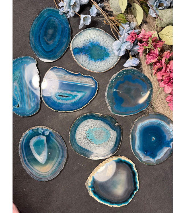 Agate Slice Size #6 Teal
