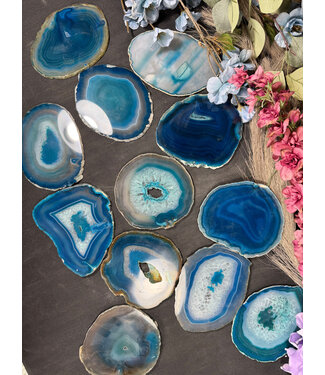 Agate Slice Size #5 Teal