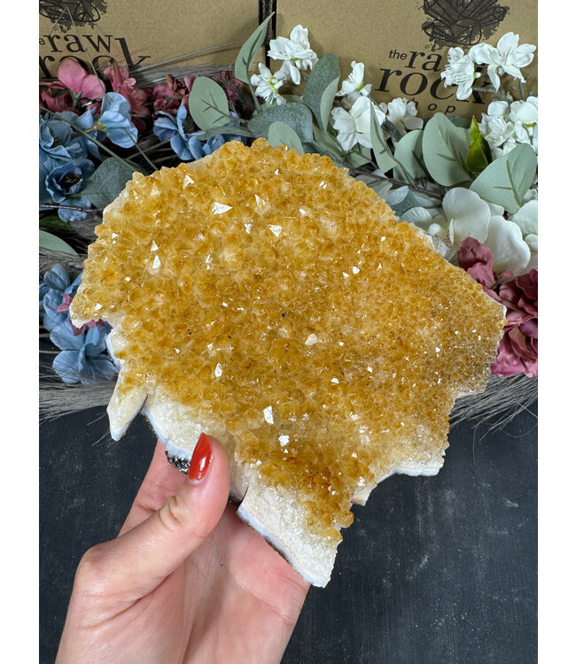 Citrine HT Druzy Clusters #53, 832gr