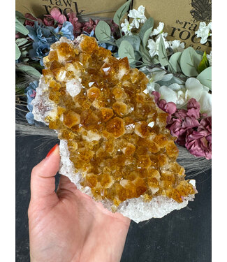 Citrine HT Druzy Clusters #58, 1190gr