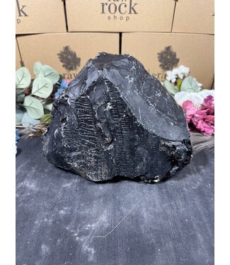 Rough Black Obsidian #40, 5338gr