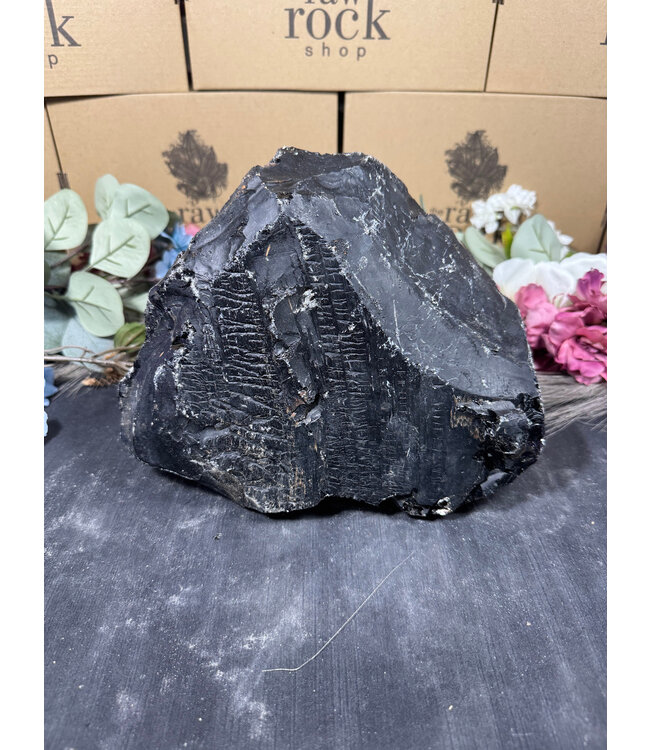 Rough Black Obsidian #40, 5338gr