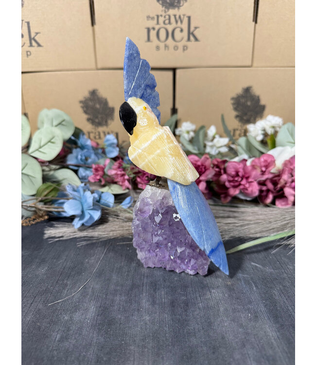 Gemstone Parrot #78, 600gr