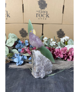 Gemstone Parrot #79, 600gr