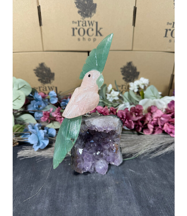 Gemstone Parrot #84, 848gr