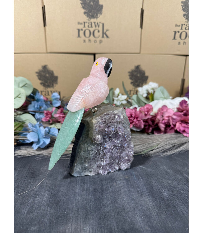 Gemstone Parrot #85, 858gr