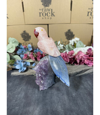 Gemstone Parrot #89, 720gr