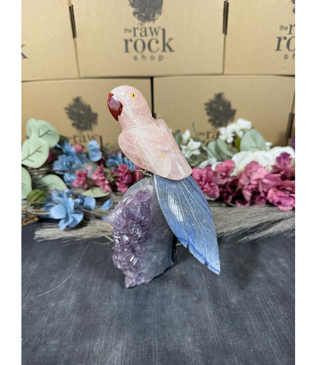 Gemstone Parrot #89, 720gr