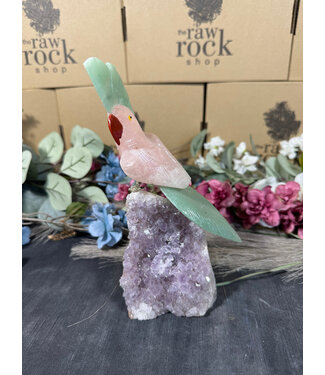Gemstone Parrot #90, 836gr
