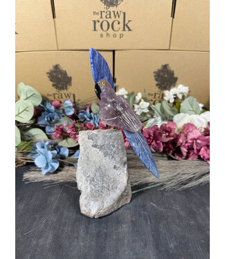 Gemstone Parrot #95, 768gr