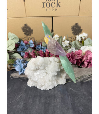 Gemstone Parrot #96, 996gr