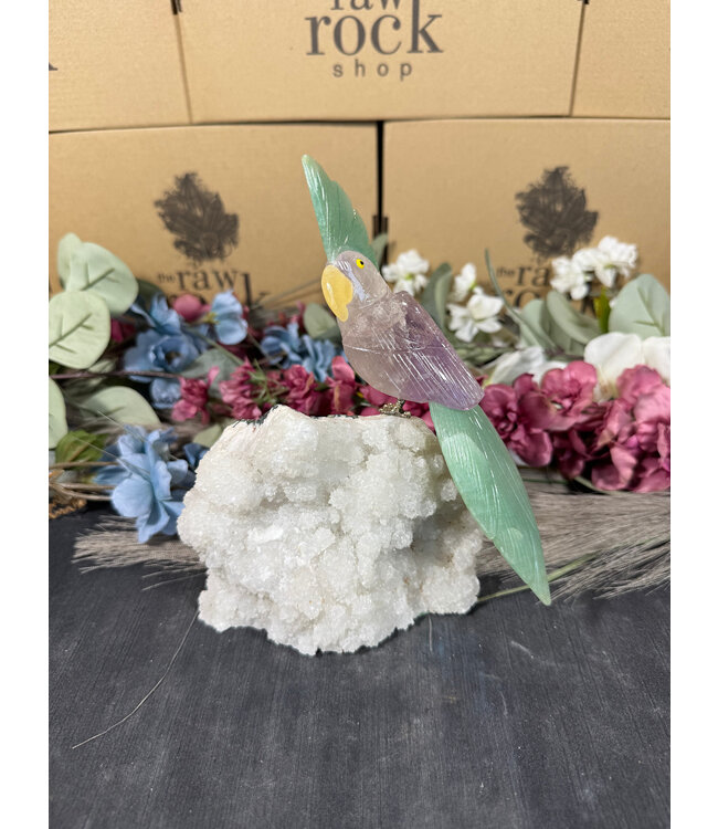 Gemstone Parrot #96, 996gr