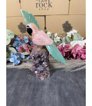 Gemstone Parrot #97, 644gr