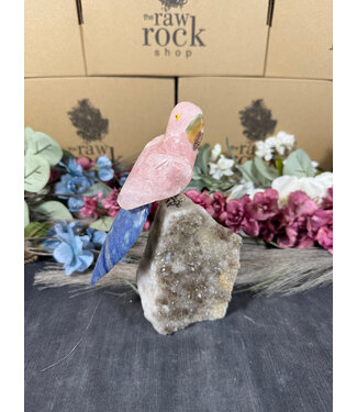 Gemstone Parrot #98, 1040gr