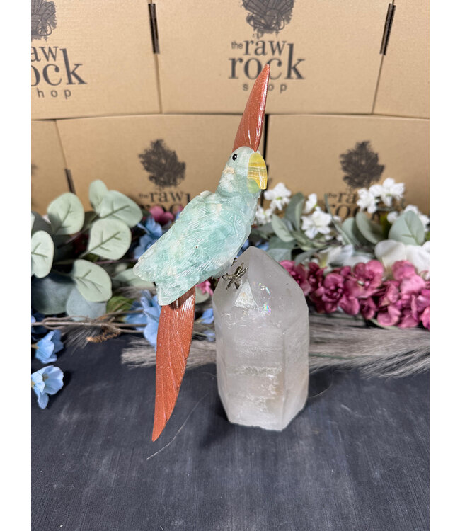 Gemstone Parrot #76, 1706gr