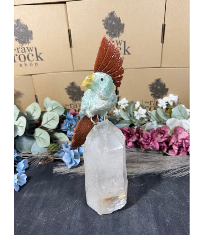 Gemstone Parrot #76, 1706gr