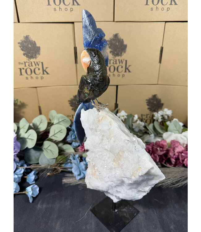 Gemstone Parrot #77, 2074gr *dmg*