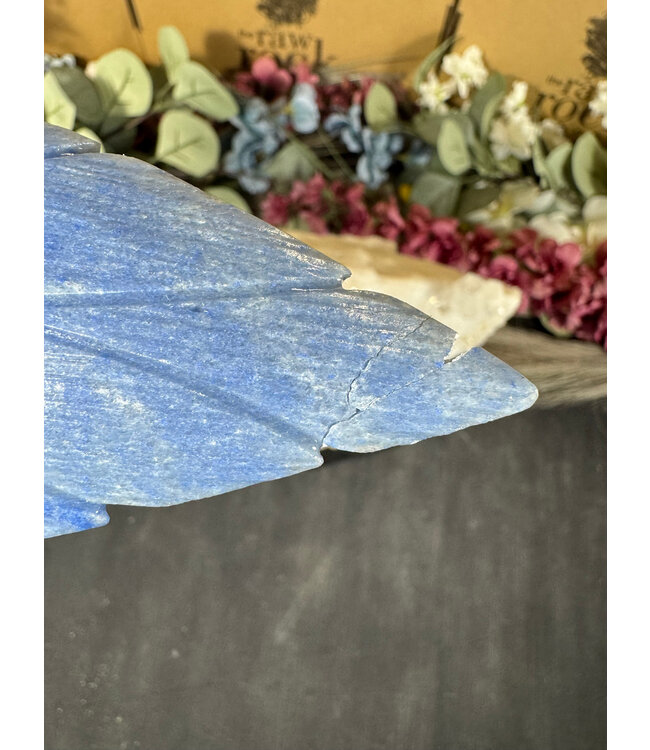 Gemstone Parrot #77, 2074gr *dmg*