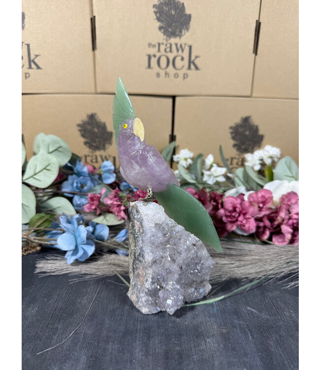 Gemstone Parrot #79, 600gr