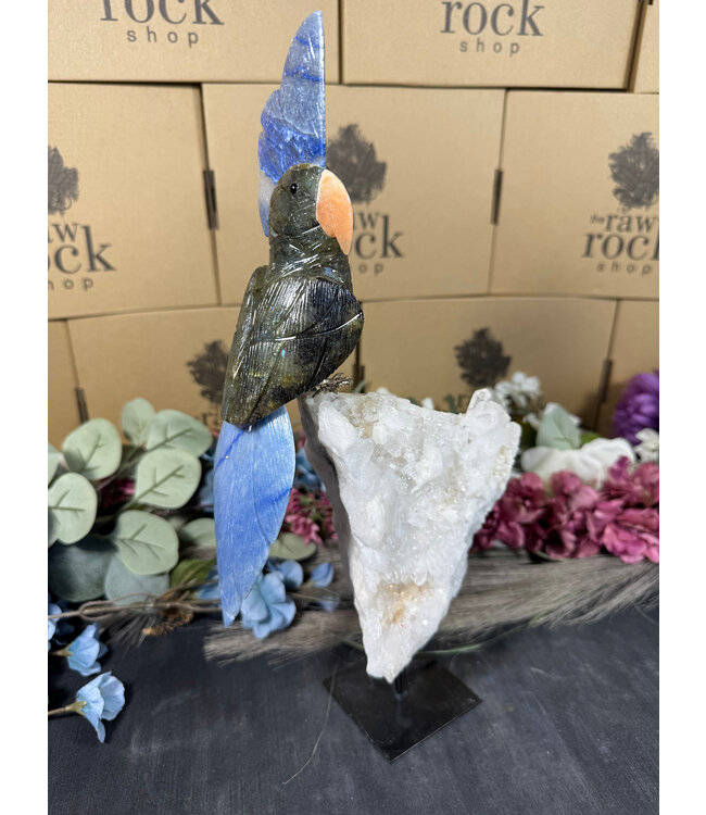 Gemstone Parrot #77, 2074gr *dmg*