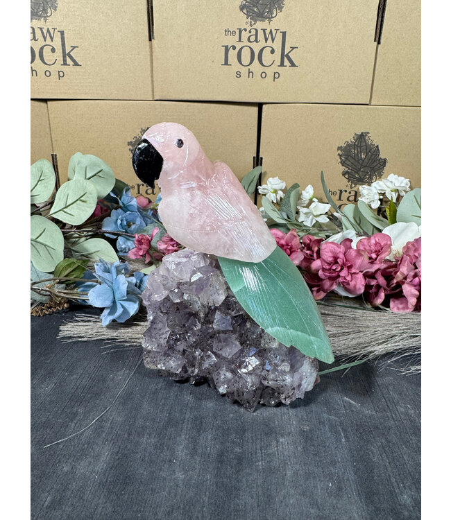 Gemstone Parrot #82, 978gr