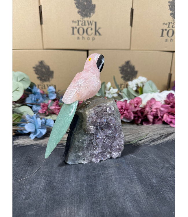 Gemstone Parrot #85, 858gr