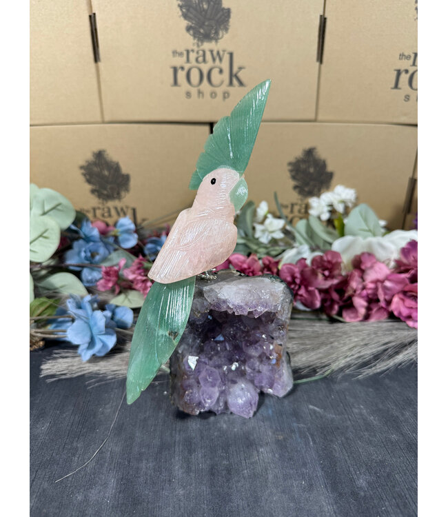 Gemstone Parrot #84, 848gr