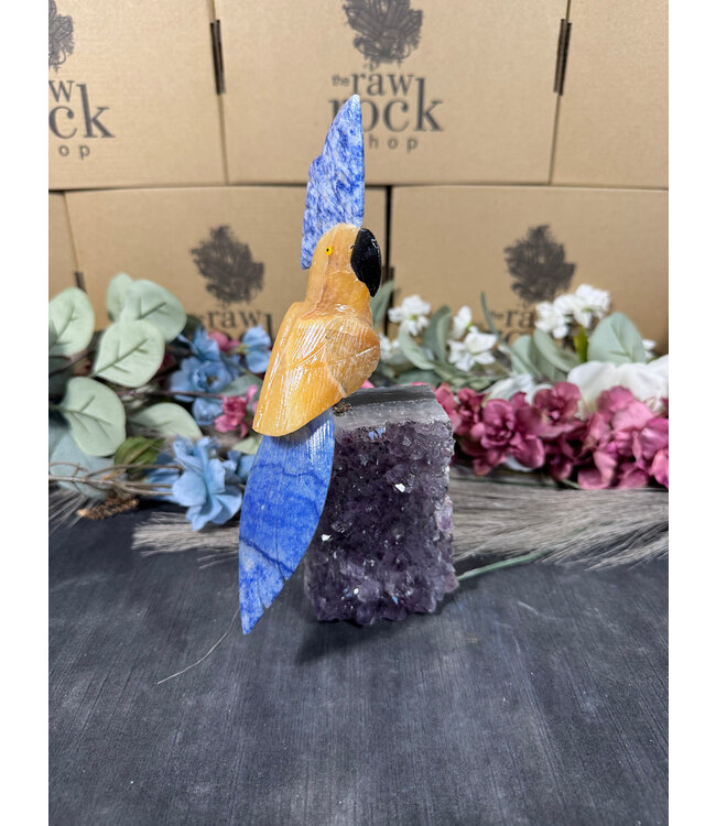 Gemstone Parrot #91, 946gr