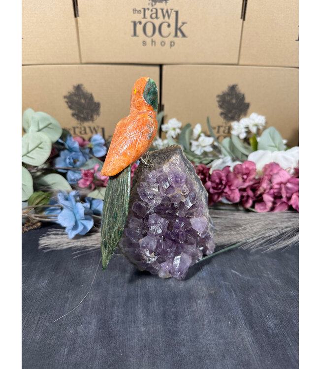 Gemstone Parrot #92, 1252gr