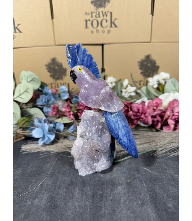Gemstone Parrot #93, 558gr