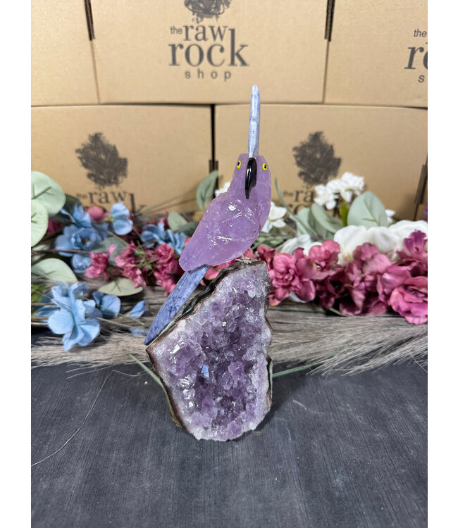 Gemstone Parrot #94, 726gr