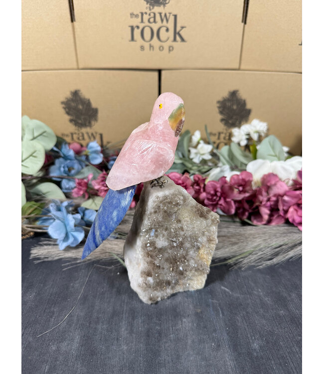 Gemstone Parrot #98, 1040gr